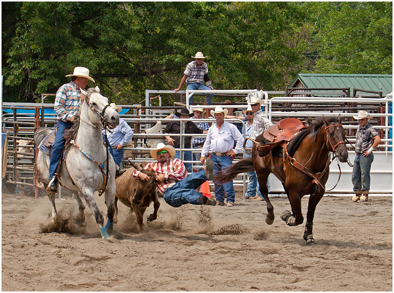 Montgomery Rodeo No 7 PRES s